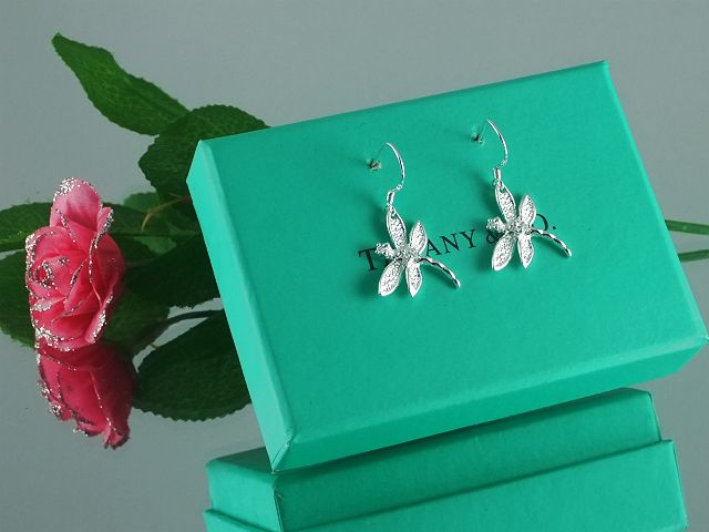tiffany Earrings-178